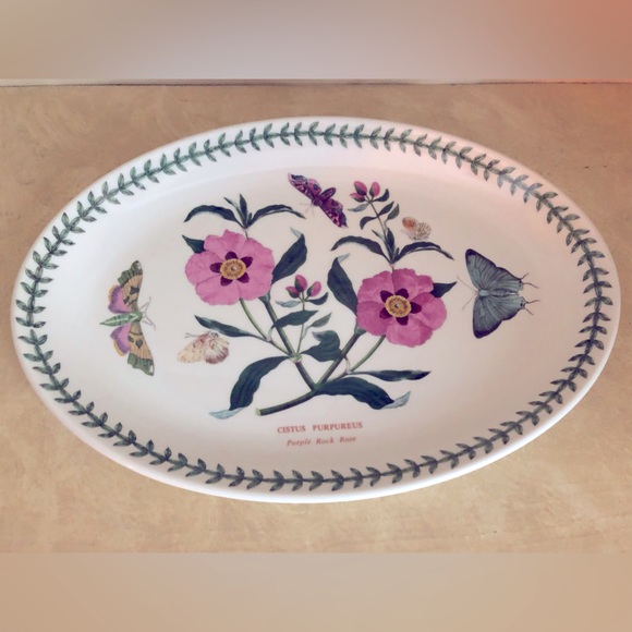 NWOT Portmeirion Beautiful Botanic Garden Oval Stoneware Platter EXC MINT COND!! - Picture 2 of 8